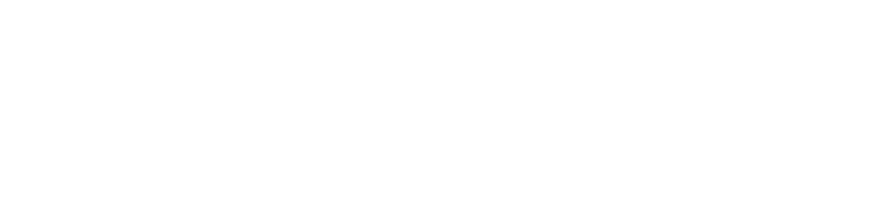 World Blind Union Logo